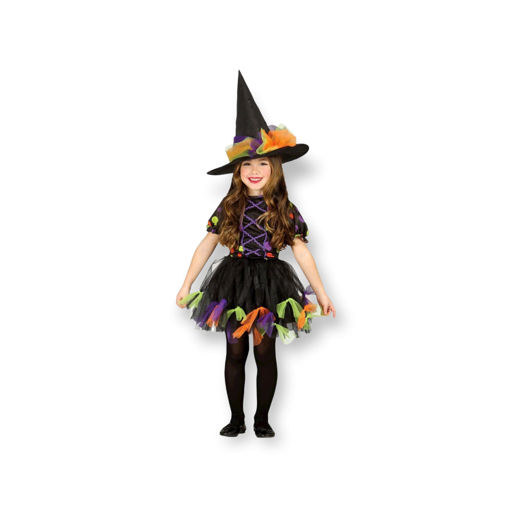 Picture of HAPPY WITCH COSTUME 10-12 YEARS